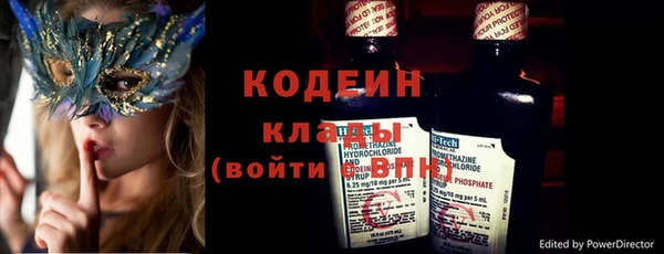 не бодяженный Заводоуковск