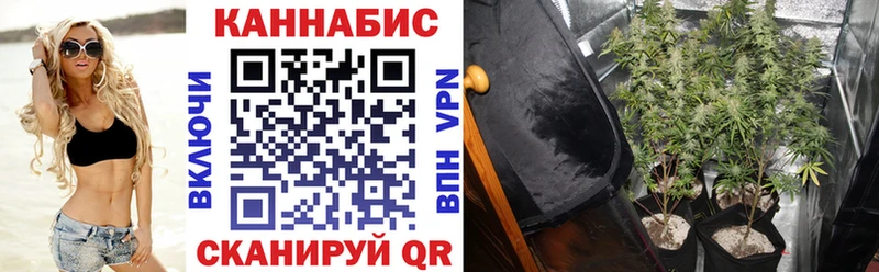 Купить  Кондрово  Канабис марихуана 